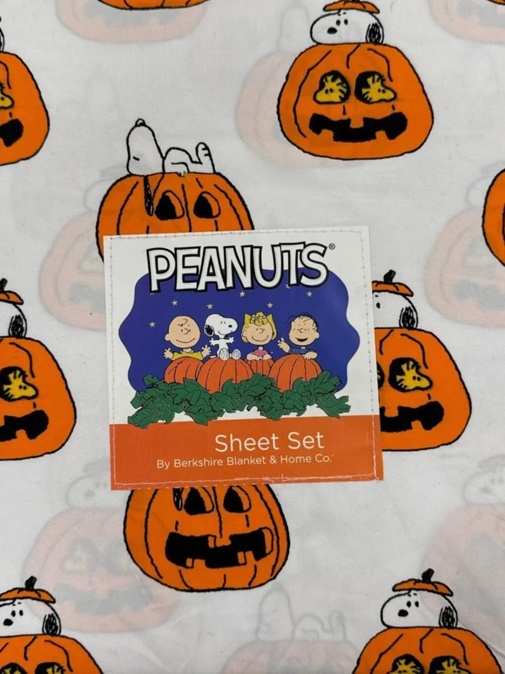 Cozy Halloween Peanuts Themed Queen Sheet Set - White Pumpkins, Fall Decor